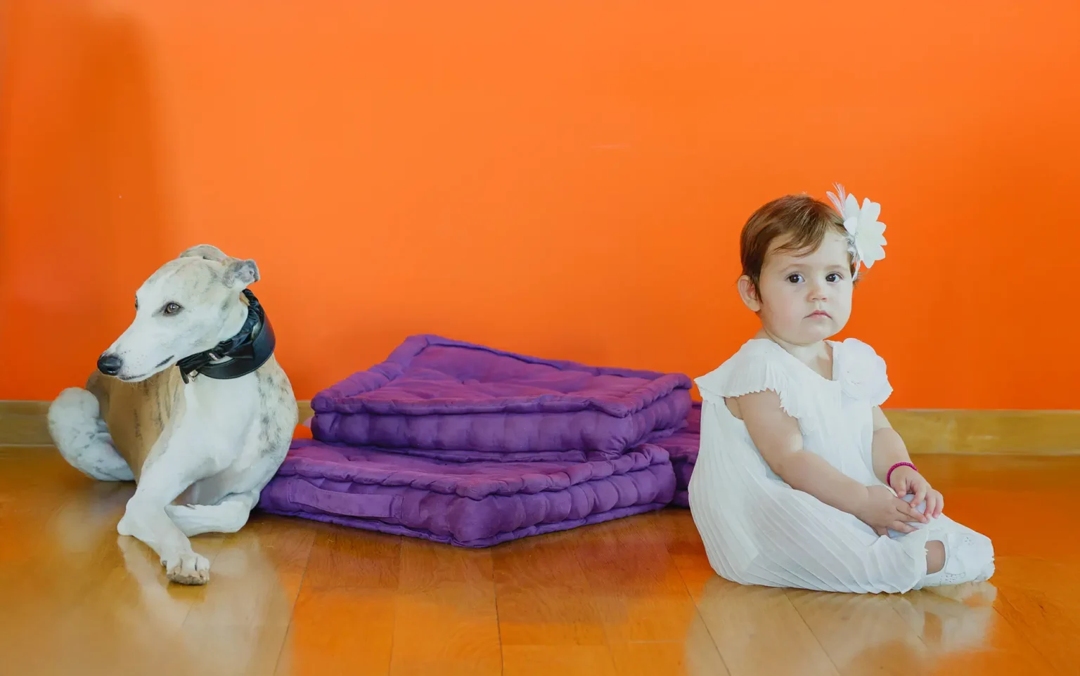 a baby sitting on the floor next to a dog